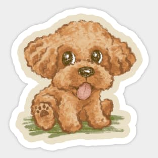 Toy poodle Sticker